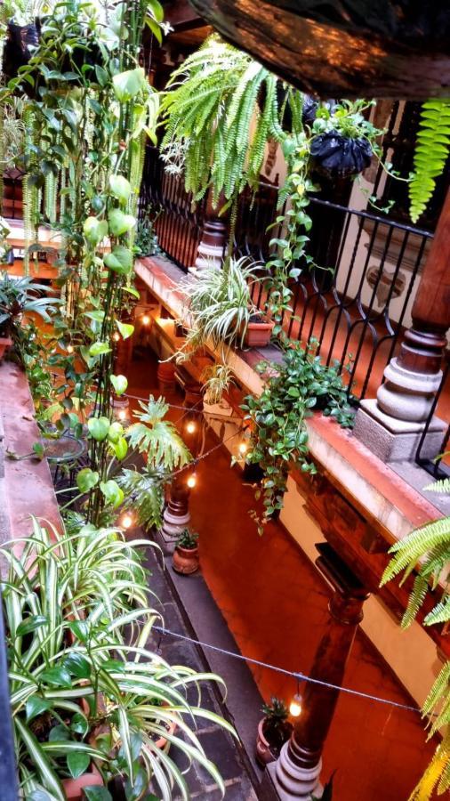La Quinta Santa Lucia Hotel Antigua Bagian luar foto